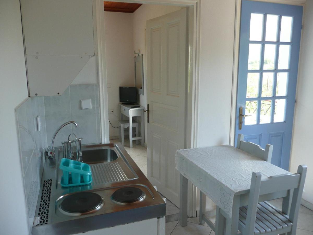 Armonia Apartments Vasilikí Habitación foto